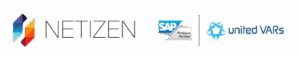 logo_netizen_website