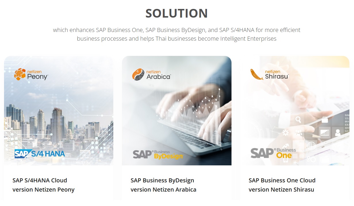 netizen_solutions